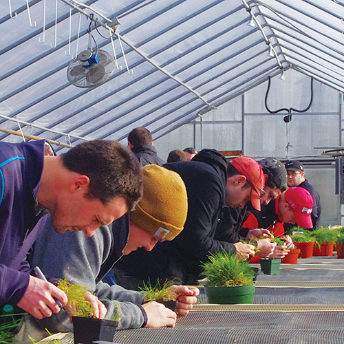 Photo: Turf Program ID Exam.